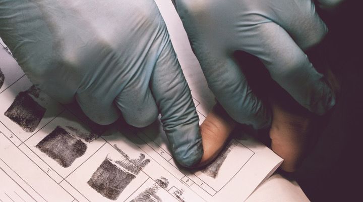 Elizabeth Lamotte Story